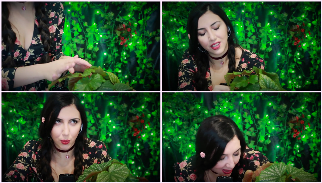 ASMR Tingle Garden 为您的 RELAXATION 重新上传 Miss ASMR视频